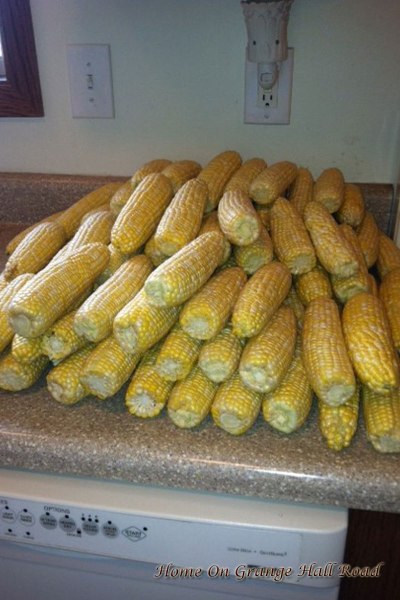 lots-of-corn